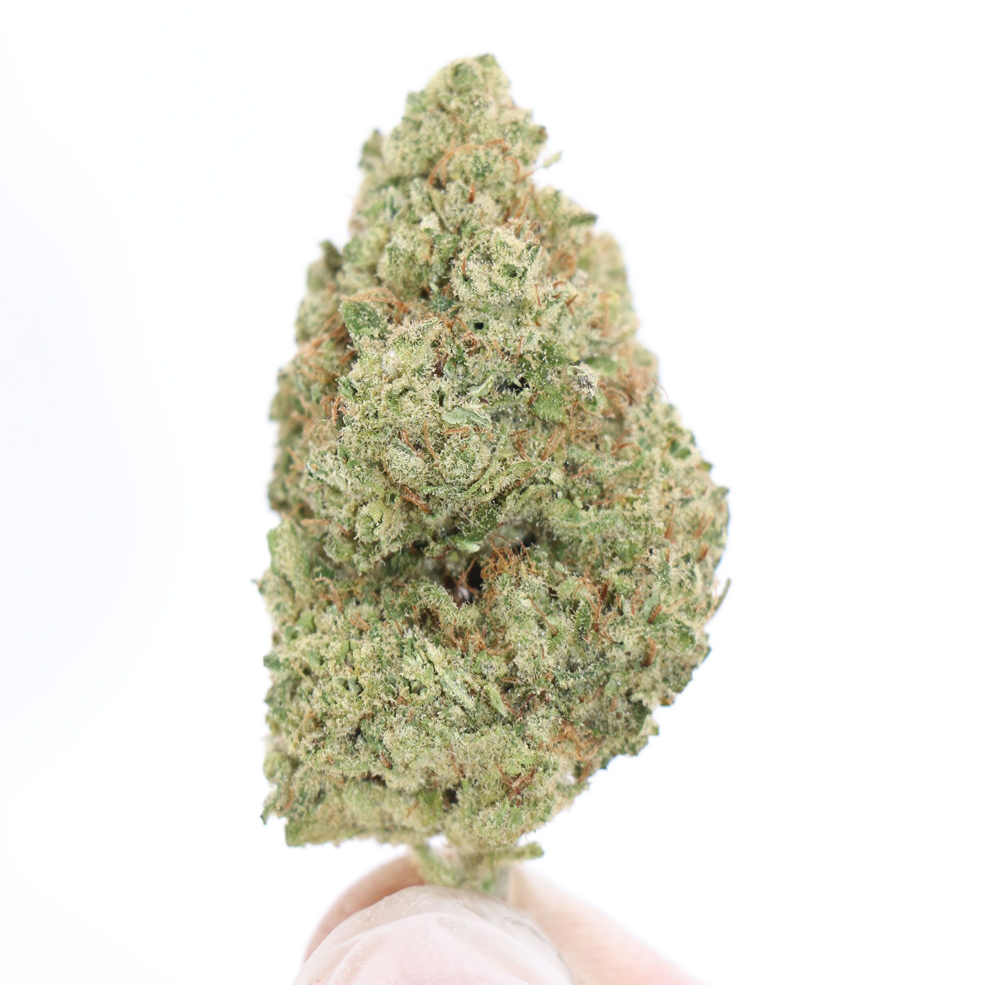 Bubblegum-Grape1