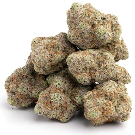 papaya